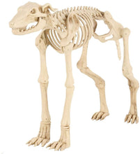 Load image into Gallery viewer, Spooky Hollow 34 Inch Life Size Animated Halloween Greyhound Crazy Bones Skeleton with Sound - Eyes Light Up Red
