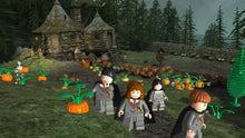 Load image into Gallery viewer, LEGO Harry Potter: Years 1-4