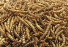 Load image into Gallery viewer, Pecking Order Dried Mealworms, 10 oz