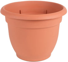Load image into Gallery viewer, Bloem Ariana Plastic Round Self Watering Planter