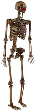 Load image into Gallery viewer, Home Accents Holiday 5 ft. LED Pose-N-Stay Decayed Skeleton
