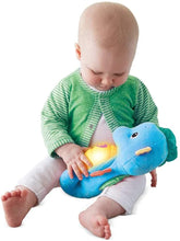 Load image into Gallery viewer, FISHER-PRICE DGH78 FISHER-PRICE SOOTHE &amp; GLOW