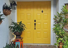 Load image into Gallery viewer, Modern Masters 275260 Front Door Paint