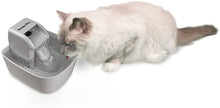Load image into Gallery viewer, PremierPet PET FOUNTAIN 50 OZ. with WATER FILTER for CATS &amp; SMALL DOGS BPA-FREE