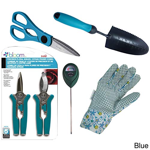 Bloom Indoor Houseplant Kit in Blue (6-Piece)