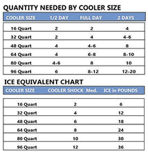 Load image into Gallery viewer, Cooler Shock 4 Mid Size Freeze Packs 10&quot;x 9&quot; - No More Ice! Reusable. You Add Water &amp; Save!