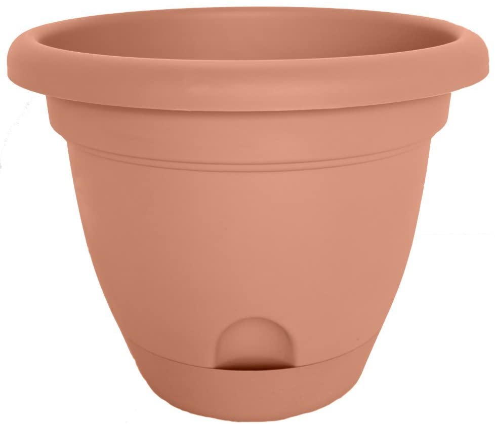 Bloem Lucca Resin Planter