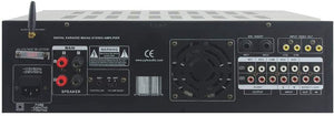 Wireless Bluetooth Karaoke Amplifier