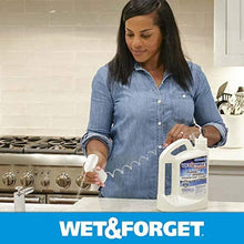 Load image into Gallery viewer, Wet &amp; Forget Indoor Mold and Mildew All Purpose Cleaner- Deodorizes, Disinfects, Kills 99.9% of Bacteria and Viruses, 64 OZ. Ready to Use