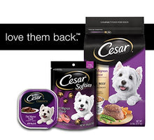 Load image into Gallery viewer, Cesar Small Breed Dry Dog Food