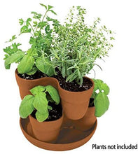 Load image into Gallery viewer, Emsco Group