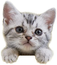 Load image into Gallery viewer, Purina Tidy Cats Non-Clumping Cat Litter