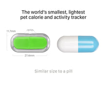 Load image into Gallery viewer, Poof Bean Pet Activity Tracker