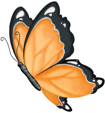 Load image into Gallery viewer, Creativity for Kids Terrarium Kit