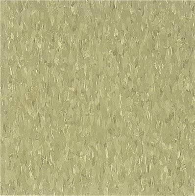 ARMSTRONG WORLD INDUSTRIES 51866 Little Green Apple / 45 Sq. Ft. Per Case VCT Standard Excelon, 12