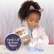 Load image into Gallery viewer, Frozen 2 Snow Globe Suprise Dolls-Pack of 2