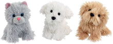 Load image into Gallery viewer, Scruffies Pets - Scout