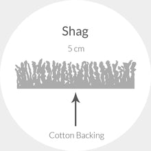 Load image into Gallery viewer, Safavieh Dallas Shag Collection SGD257A Trellis Area Rug, 10' x 14'