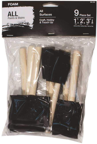 9PC Foam Brush Set