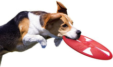 Load image into Gallery viewer, Nerf Dog TPR Float Flyer