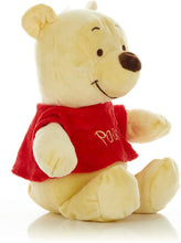 Load image into Gallery viewer, KIDS PREFERRED Disney Baby Winnie The Pooh Small Stuffed Animal, 14"