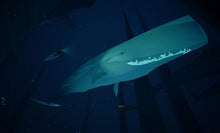 Load image into Gallery viewer, ABZÛ0