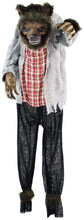 Load image into Gallery viewer, Haunted Hill Farm HHWOLF-1FLSA Life-Size Animatronic Werewolf, Indoor/Outdoor Halloween Decoration, Multi
