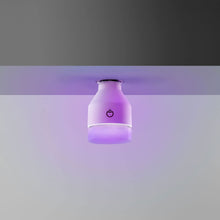 Load image into Gallery viewer, LIFX  Wi-Fi Smart LED Light Bulb, Adjustable, Multicolor, Dimmable, No Hub Required, Works with Alexa