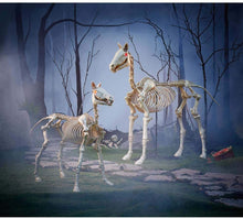 Load image into Gallery viewer, Home Accents Holiday 74 in. Halloween Standing Skeleton Horse-6342-86676