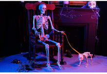 Load image into Gallery viewer, 5 ft. Poseable Skeleton with LED Illumination