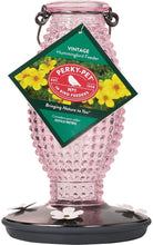 Load image into Gallery viewer, Humbird%2bFdr%2bCrnbrry%2b16oz