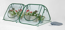 Load image into Gallery viewer, Flower House FHSH200CL StarterHouse, Clear