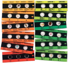 Load image into Gallery viewer, Edu-Toys 12 Slide With 36 Assorted Specimens