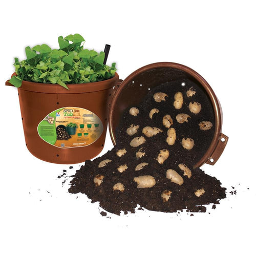 City Pickers Spud Tub Potato Grow Kit – Works Great on Decks and Patios – Low Maintenance & High Potato Yields