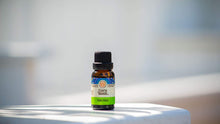 Load image into Gallery viewer, GuruNanda Essential Oil Single