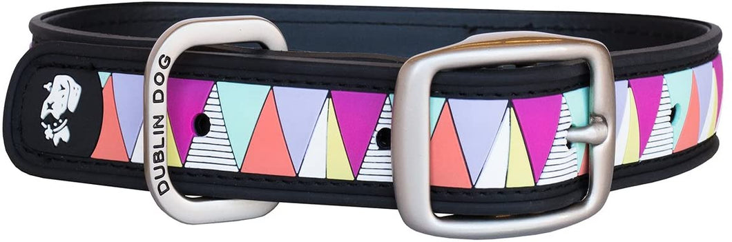 Dublin Dog ASNS Carnival Pet Collar Accessory