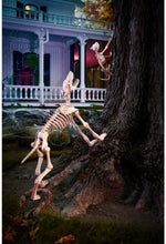 Load image into Gallery viewer, Spooky Hollow 34 Inch Life Size Animated Halloween Greyhound Crazy Bones Skeleton with Sound - Eyes Light Up Red