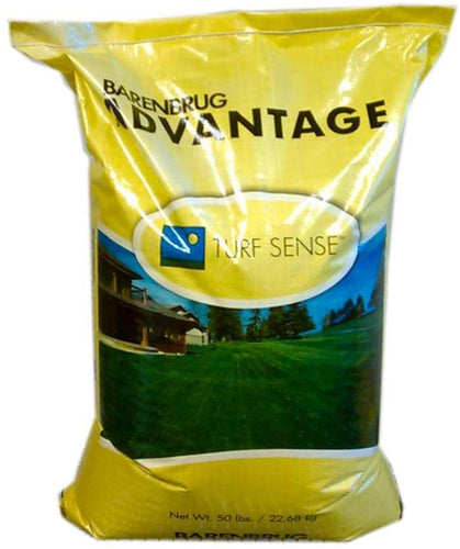 Barenbrug 50 lb. Pinnacle III Perennial Ryegrass Seed