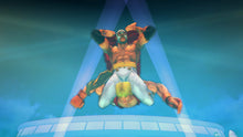 Load image into Gallery viewer, Street Fighter IV