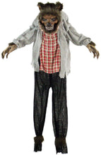 Load image into Gallery viewer, Haunted Hill Farm HHWOLF-1FLSA Life-Size Animatronic Werewolf, Indoor/Outdoor Halloween Decoration, Multi