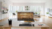 Load image into Gallery viewer, Lenovo - Q27q-10 27" IPS LED QHD FreeSync Monitor - Black