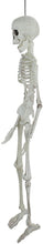 Load image into Gallery viewer, Northlight Halloween Decorations, White