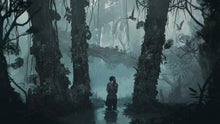 Load image into Gallery viewer, Shadow of the Tomb Raider