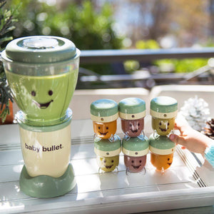 Magic Bullet Baby Bullet Baby Care System