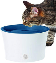 Load image into Gallery viewer, Catit Design Senses Fountain with Water Softening Cartridge, 3L