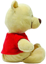 Load image into Gallery viewer, KIDS PREFERRED Disney Baby Winnie The Pooh Small Stuffed Animal, 14"