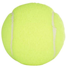 Load image into Gallery viewer, Penn Championship Tennis Balls - Extra Duty Felt Pressurized Tennis Balls