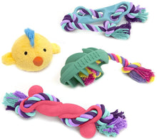 Load image into Gallery viewer, Play King Holiday Dog Squeaky Toy, Dog Toys, Play Toys