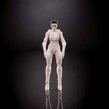 Load image into Gallery viewer, Hasbro Ghostbusters Plasma Series Gozer Toy 6-Inch-Scale Collectible Classic 1984 Ghostbusters Action Figure, Toys for Kids Ages 4 and Up