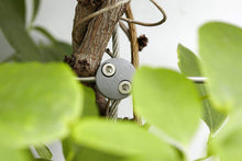 Load image into Gallery viewer, Jakob 96 in. Wire Rope Plant Trellis System